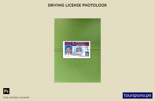 listo para imprimir plantilla FRONTAL de foto de versión de licencia de conduc 2